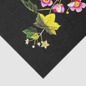 デコページ紙10"x15" - Mary Delany 2 薄葉紙 (詳細)