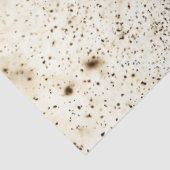 デコページ野球選手スライディングホームプレート 薄葉紙 (詳細)