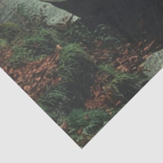 デコページ魚釣りボートの水面への反射 薄葉紙 (詳細)