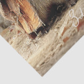 デコページ3ラクーンフォレストトリックスターズ&トリート 薄葉紙 (詳細)