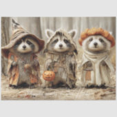 デコページ3ラクーンフォレストトリックスターズ&トリート 薄葉紙 (正面)