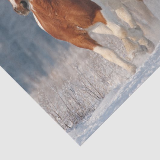 デコページ5ピントGalloping雪の覆われたフィールド 薄葉紙 (詳細)