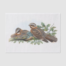 デコページ 薄葉紙