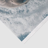 デコペー鮮やかジティール(緑がかった色)海水とマネージャ 薄葉紙 (詳細)