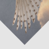 デコペ威厳のあるージホワイトフクロウ飛んでいるムーン 薄葉紙 (詳細)