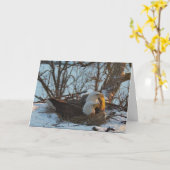 デコラネストノースクリスマスカード カード (黄色い花)