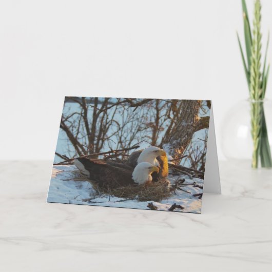 デコラネストノースクリスマスカード カード (正面)