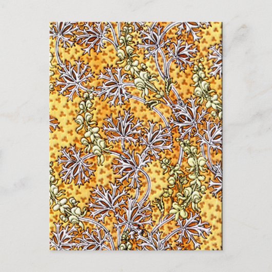 デコ新しいフラワーアンドレース ポストカード (正面)