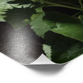 デザイナーダークフェンスの巨大な黄色のひまわり フォトプリント (角)