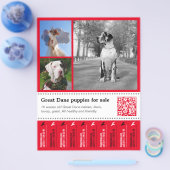 デザイナーテイクオフGreat Dane Flyer チラシ (シングル)