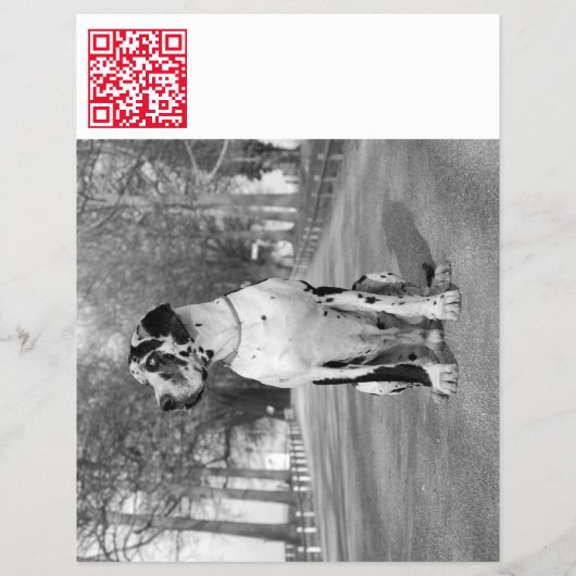 デザイナーテイクオフGreat Dane Flyer チラシ (裏面)