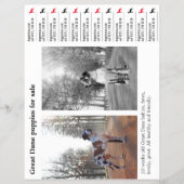 デザイナーテイクオフGreat Dane Flyer チラシ (正面)