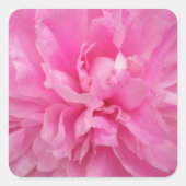 デザイナーピンクフローラ封筒用シール及びシール スクエアシール (正面)