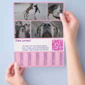 デザイナー子犬販売チラシ 4枚の写真付き チラシ (手)