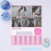 デザイナー子犬販売チラシ 4枚の写真付き チラシ (シングル)