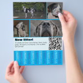 デザイナー子犬販売チラシ 4枚の写真入り チラシ (手)