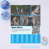 デザイナー子犬販売チラシ 4枚の写真入り チラシ (シングル)