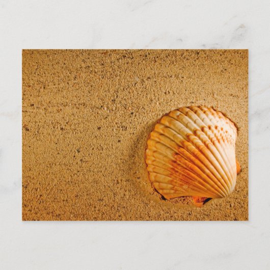 デザイナー日付カードの保存 案内ポストカード (正面)