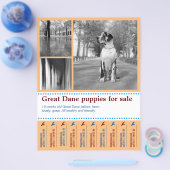 デザインが魅力的なパピー販売チラシ チラシ (シングル)