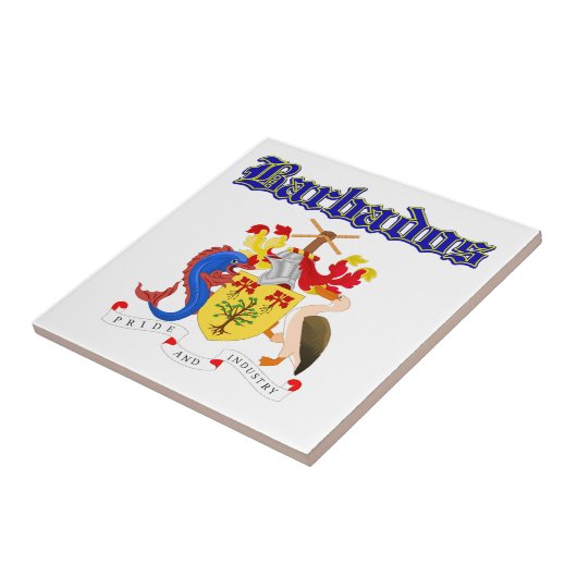 デザインバルバドスのグランジな紋章付き外衣 タイル (側面)