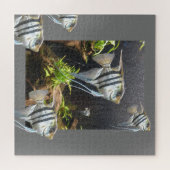 デザインパズル:熱帯ストライプの魚 ジグソーパズル (横)