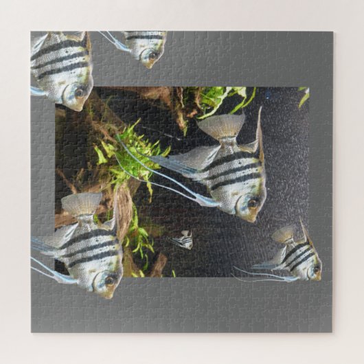 デザインパズル:熱帯ストライプの魚 ジグソーパズル (横)