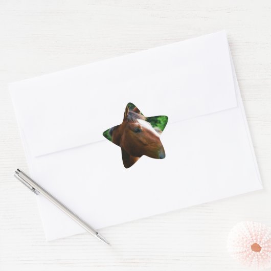 デザイン独自のカスタムフォトステッカー星形 星シール (封筒)