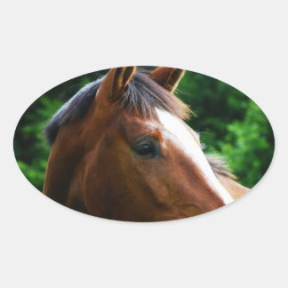 デザイン独自のカスタムフォトステッカー楕円の形 楕円形シール