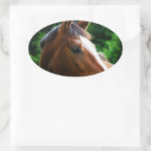 デザイン独自のカスタムフォトステッカー楕円の形 楕円形シール (バッグ)