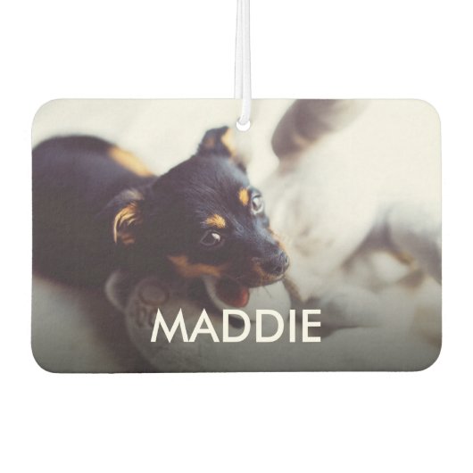 デザイン自分のペットの写真と名前パーソナライズされた カーエアーフレッシュナー (正面)