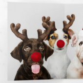 デザイン自分の3枚の写真パーソナライズされた 三つ折りクリスマスカード (内部最初)