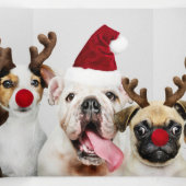 デザイン自分の3枚の写真パーソナライズされた 三つ折りクリスマスカード (内部中)