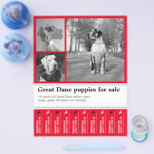 デザイン販売パピチラシ チラシ (シングル)