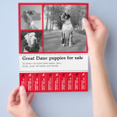 デザイン販売パピチラシ チラシ (手)