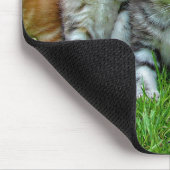 デザイン – かわいい子猫たち マウスパッド (コーナー)