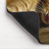 デザイン – かわいい子猫 マウスパッド (コーナー)