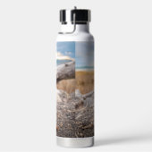 デザイン ウォーターボトル (右面)