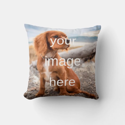 デザイン クッション (正面)