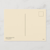 デザイン/スイレン、ニンフェウム/ハッピーバースデー/ シーズンポストカード (裏面)