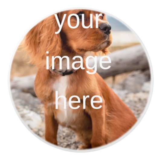 デザイン セラミックノブ (正面)