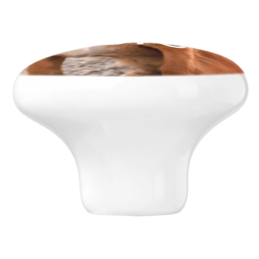 デザイン セラミックノブ (側面)