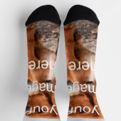 デザイン ソックス (上部)