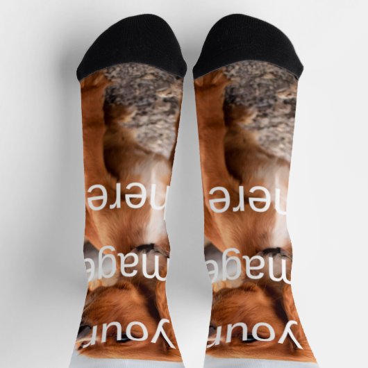 デザイン ソックス (上部)