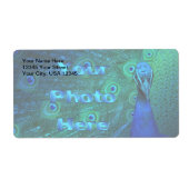 デザイン ラベル (正面)