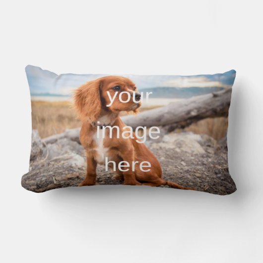 デザイン ランバークッション (正面)