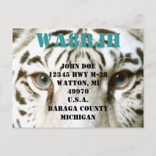デザインQSL HAM無線OPSカードTiger Eyes ポストカード