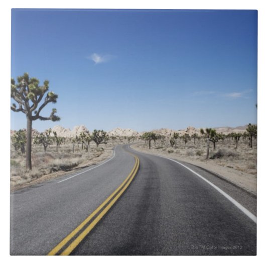 デザートの真中の格好良い通り タイル (正面)