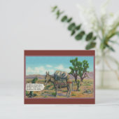 デザートアおもしろいリゾナポストカードのロバ ポストカード (スタンド正面)