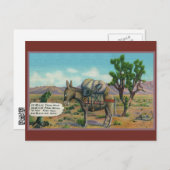 デザートアおもしろいリゾナポストカードのロバ ポストカード (正面/裏面)