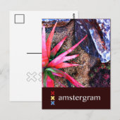 デザートアムステルグラム ポストカード (正面/裏面)